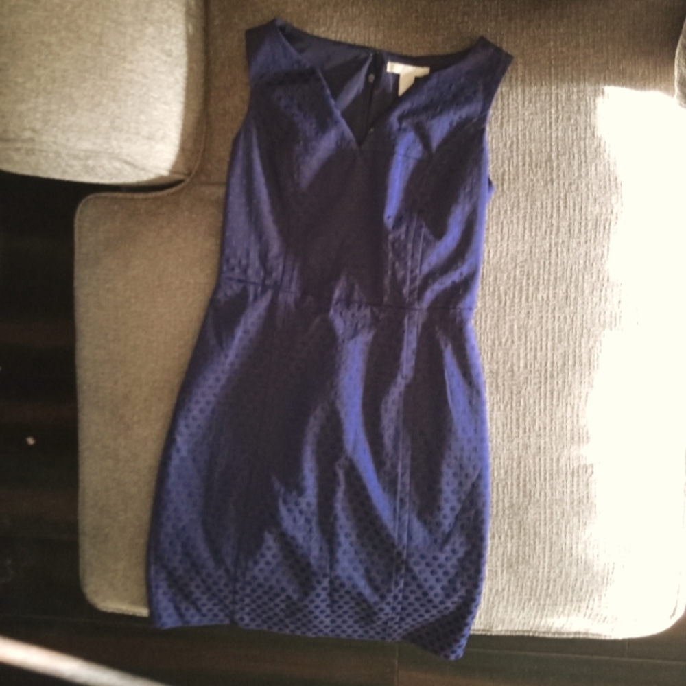 Banana Republic Blue Dress